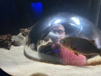 2024-11-11-Corpus-Christie-07-aquarium-Travis.JPG