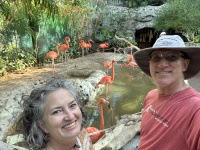 2024-11-11-Corpus-Christie-18-aquarium-Suzi-Travis-flamingos.JPG