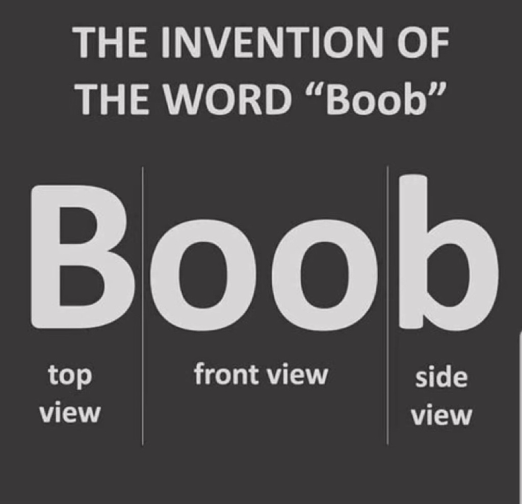 2025/01(January)/Meme/1024x768_Boob.JPG