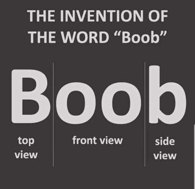 2025/01(January)/Meme/640x480_Boob.JPG