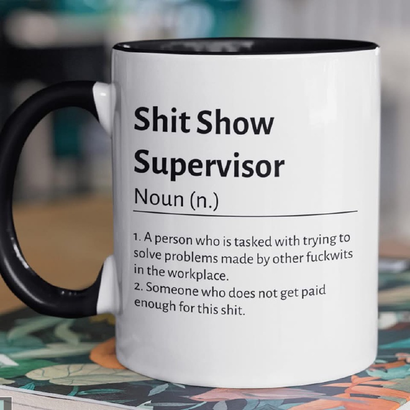 2025/01(January)/Meme/800x600_Shit-Show-Supervisor.JPG