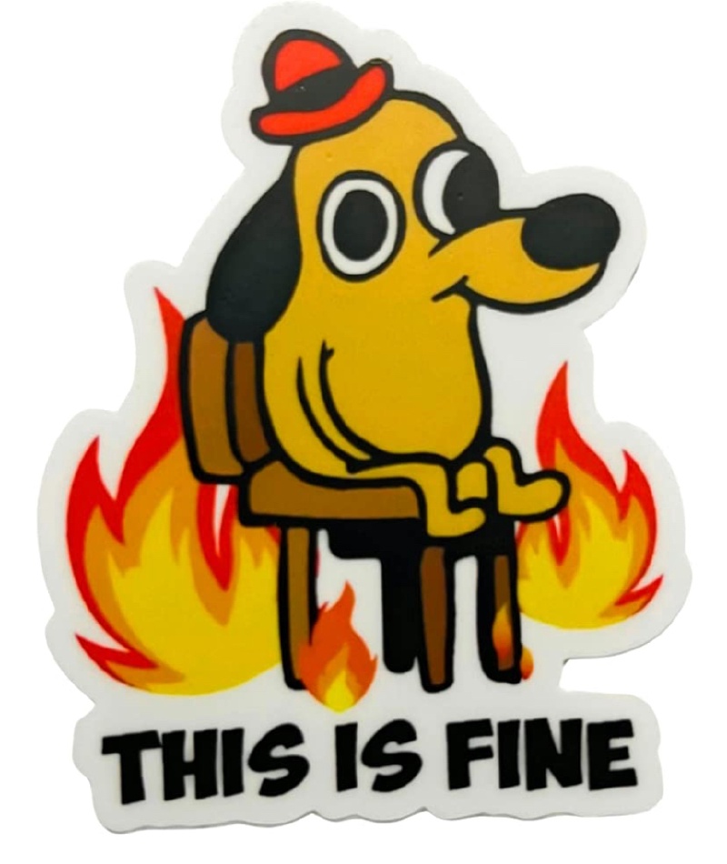 2025/01(January)/Meme/800x600_This-is-Fine-2.JPG