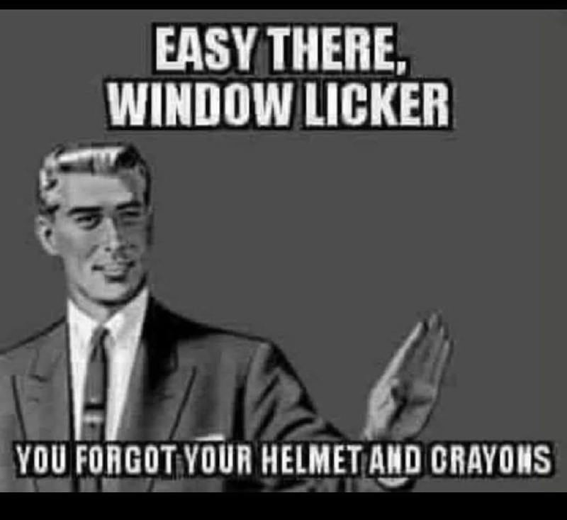 2025/01(January)/Meme/800x600_Window-Licker.JPG
