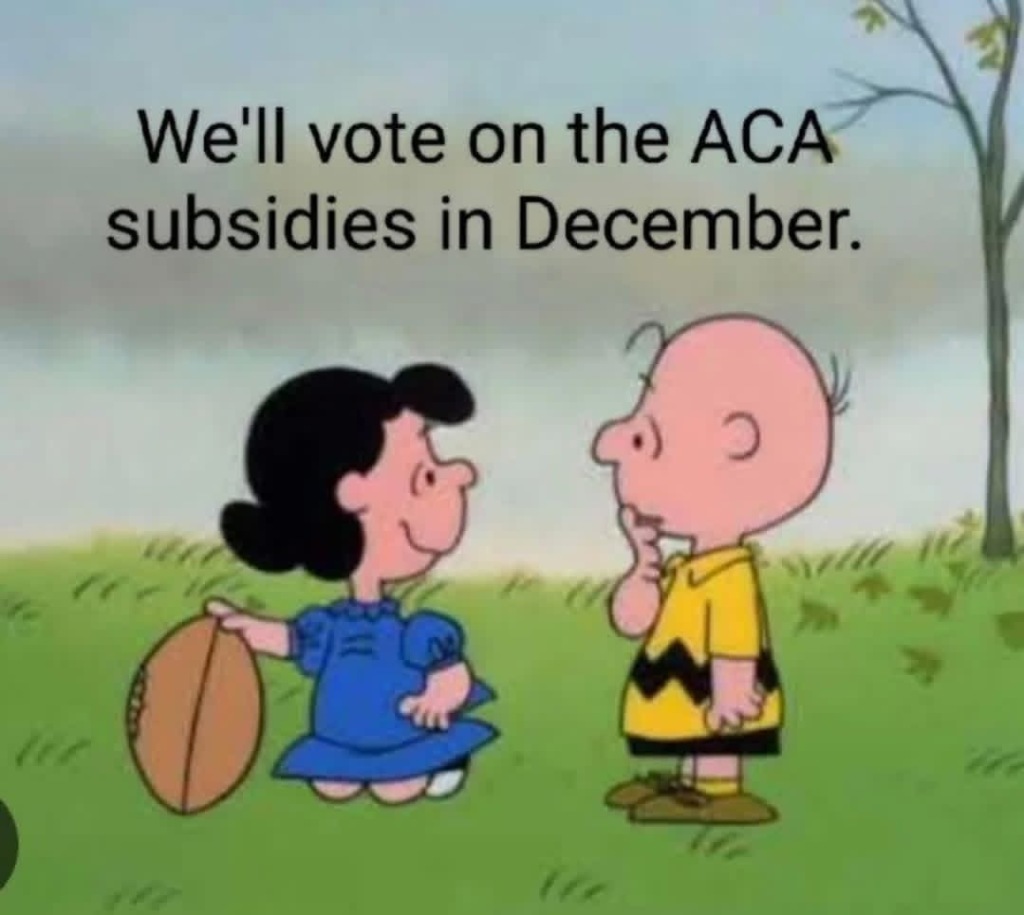 2025/01(January)/Trump-Stuff/1024x768_Peanuts-ACA-Subsidies.JPG