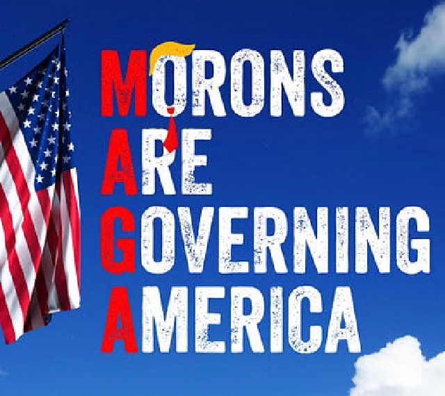2025/01(January)/Trump-Stuff/640x480_Morons-Are-Governing-America.JPG