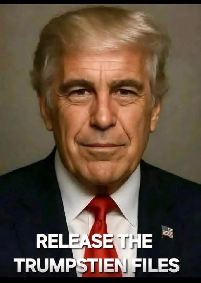 2025/01(January)/Trump-Stuff/800x600_Trumpstein-Files.JPG