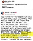 Epstein-Hoax-Trump.JPG