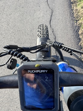 2025-02-06-Ladybug-PuckiPuppy-eBike.JPG