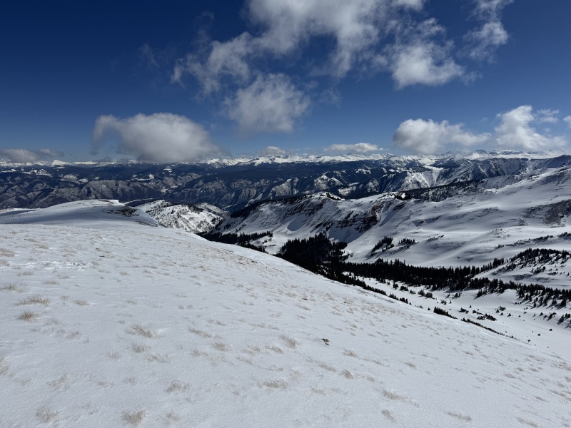 2025/03(March)/Colorado/800x600_2025-03-05-Colorado-21-Aspen.JPG
