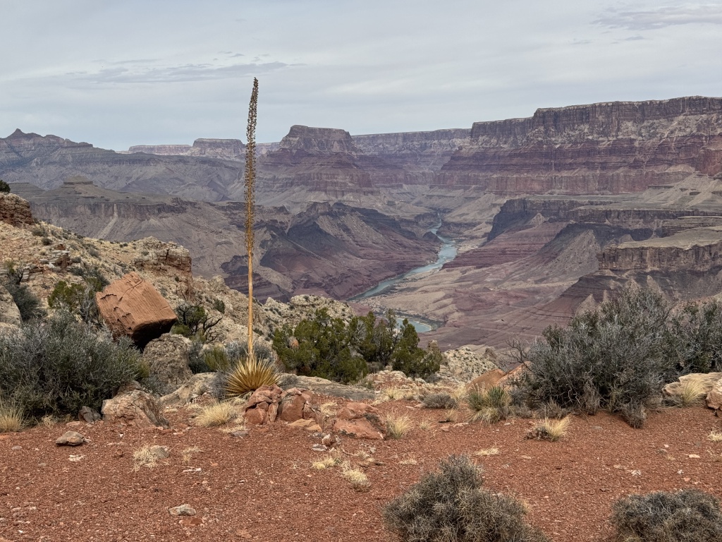 2025-03-17-Grand-Canyon-035-GOOD.JPG