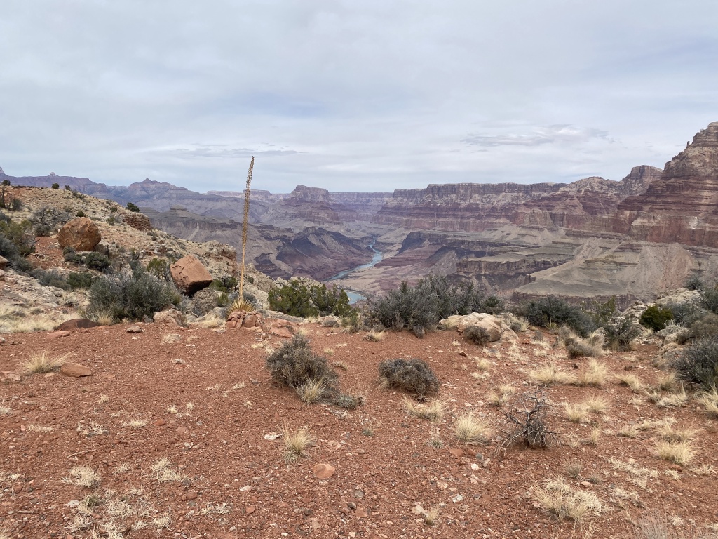 2025/03(March)/Grand-Canyon-Crew8787/1024x768_2025-03-17-Grand-Canyon-036.JPG