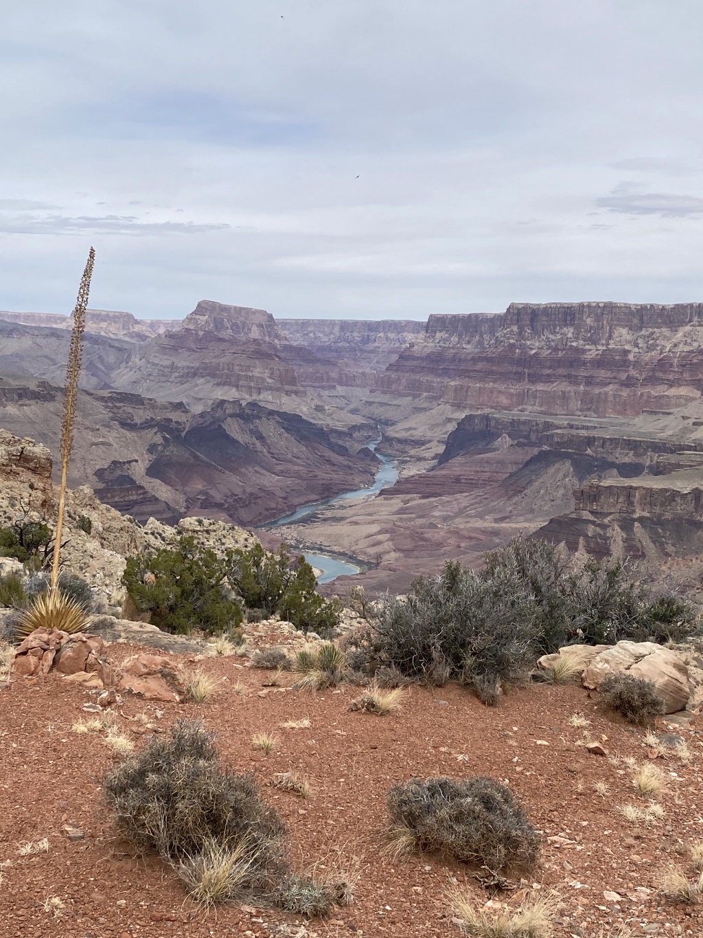 2025/03(March)/Grand-Canyon-Crew8787/1024x768_2025-03-17-Grand-Canyon-037.JPG