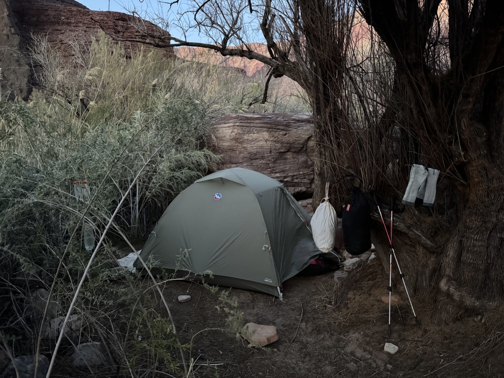 2025-03-17-Grand-Canyon-061.JPG