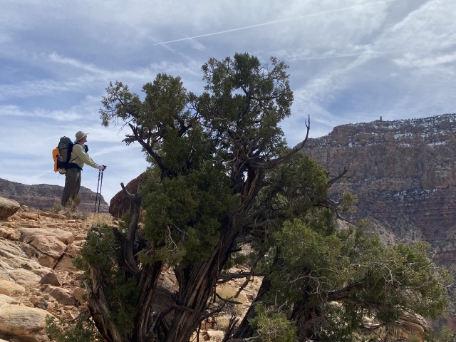 2025/03(March)/Grand-Canyon-Crew8787/640x480_2025-03-17-Grand-Canyon-031-Travis.JPG
