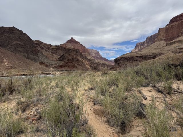2025-03-18-Grand-Canyon-071.JPG