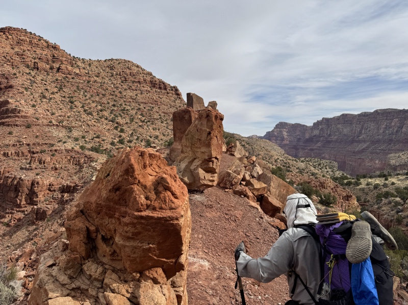 2025/03(March)/Grand-Canyon-Crew8787/800x600_2025-03-17-Grand-Canyon-019-CarlZ.JPG