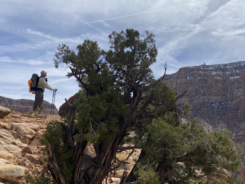 2025/03(March)/Grand-Canyon-Crew8787/800x600_2025-03-17-Grand-Canyon-031-Travis.JPG