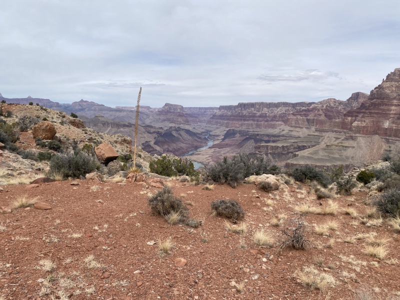2025/03(March)/Grand-Canyon-Crew8787/800x600_2025-03-17-Grand-Canyon-036.JPG