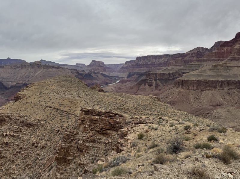 2025-03-17-Grand-Canyon-044.JPG