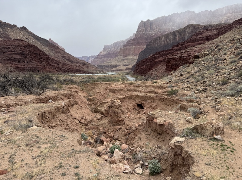 2025-03-18-Grand-Canyon-069.JPG