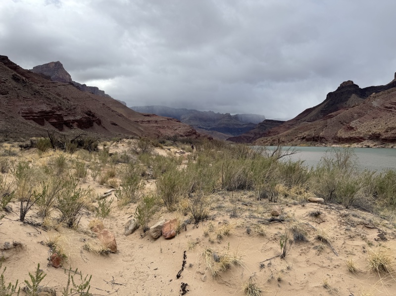 2025-03-18-Grand-Canyon-070.JPG