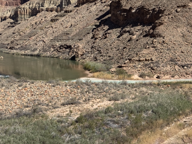 2025/03(March)/Grand-Canyon-Crew8787/800x600_2025-03-19-Grand-Canyon-097-Little-Colorado-Confluence.JPG
