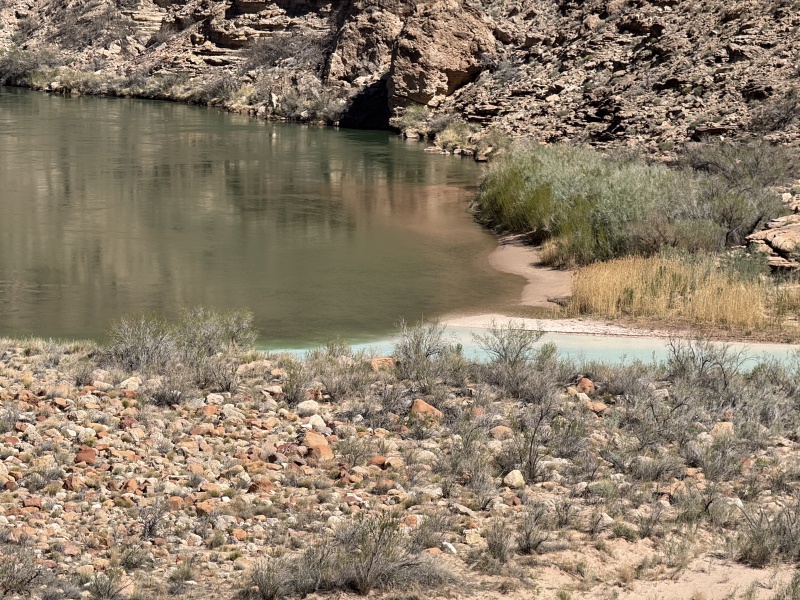 2025-03-19-Grand-Canyon-098-Little-Colorado-Confluence.JPG