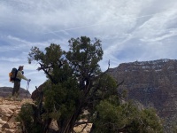 2025-03-17-Grand-Canyon-032-Travis.JPG