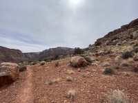 2025-03-17-Grand-Canyon-038.JPG