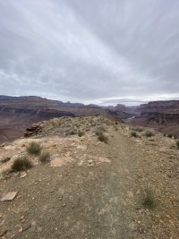 2025-03-17-Grand-Canyon-042-Travis.JPG
