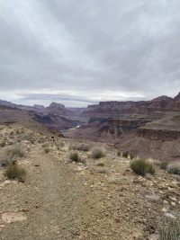 2025-03-17-Grand-Canyon-043-Travis.JPG