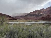 2025-03-18-Grand-Canyon-066.JPG