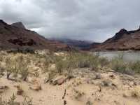 2025-03-18-Grand-Canyon-070.JPG