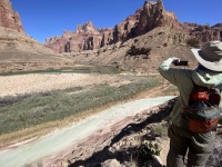 2025-03-19-Grand-Canyon-099-Little-Colorado-Confluence-Travis.JPG