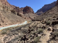2025-03-19-Grand-Canyon-106-Little-Colorado-Confluence.JPG