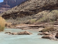 2025-03-19-Grand-Canyon-116-Little-Colorado-Confluence-CesarBobadilla.JPG