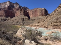 2025-03-19-Grand-Canyon-125-Little-Colorado-Confluence.JPG