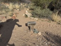 2025-03-20-Grand-Canyon-136.JPG