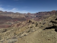 2025-03-20-Grand-Canyon-143-CesarBobadilla.JPG