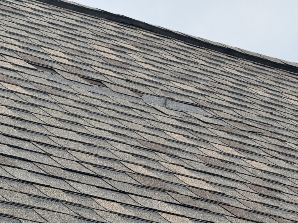 2025/03(March)/Misc/1024x768_2025-03-30-Shingle-Damage-3.JPG