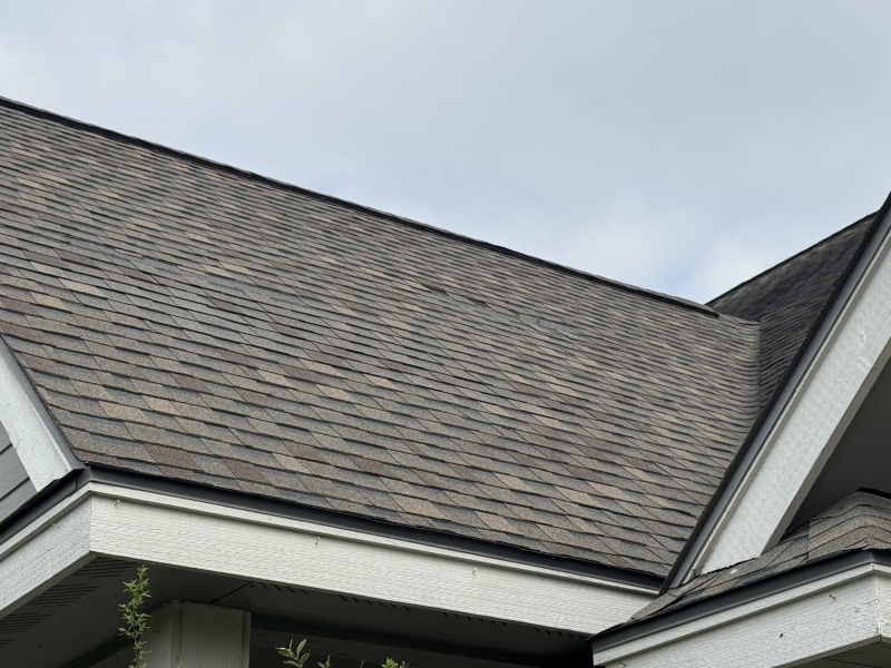 2025/03(March)/Misc/800x600_2025-03-30-Shingle-Damage-2.JPG