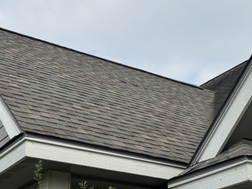 2025-03-30-Shingle-Damage-2.JPG