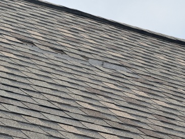 2025-03-30-Shingle-Damage-3.JPG