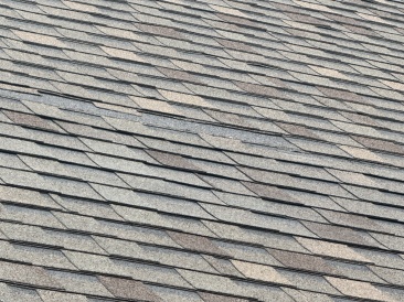 2025-03-30-Shingle-Damage-4.JPG