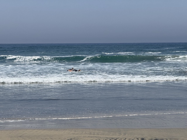 2025-04-12-Pescadero-MX-55-Beach.JPG