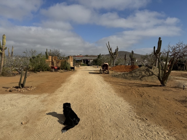 2025-04-22-Pescadero-MX-129-Adobe-Castle.JPG