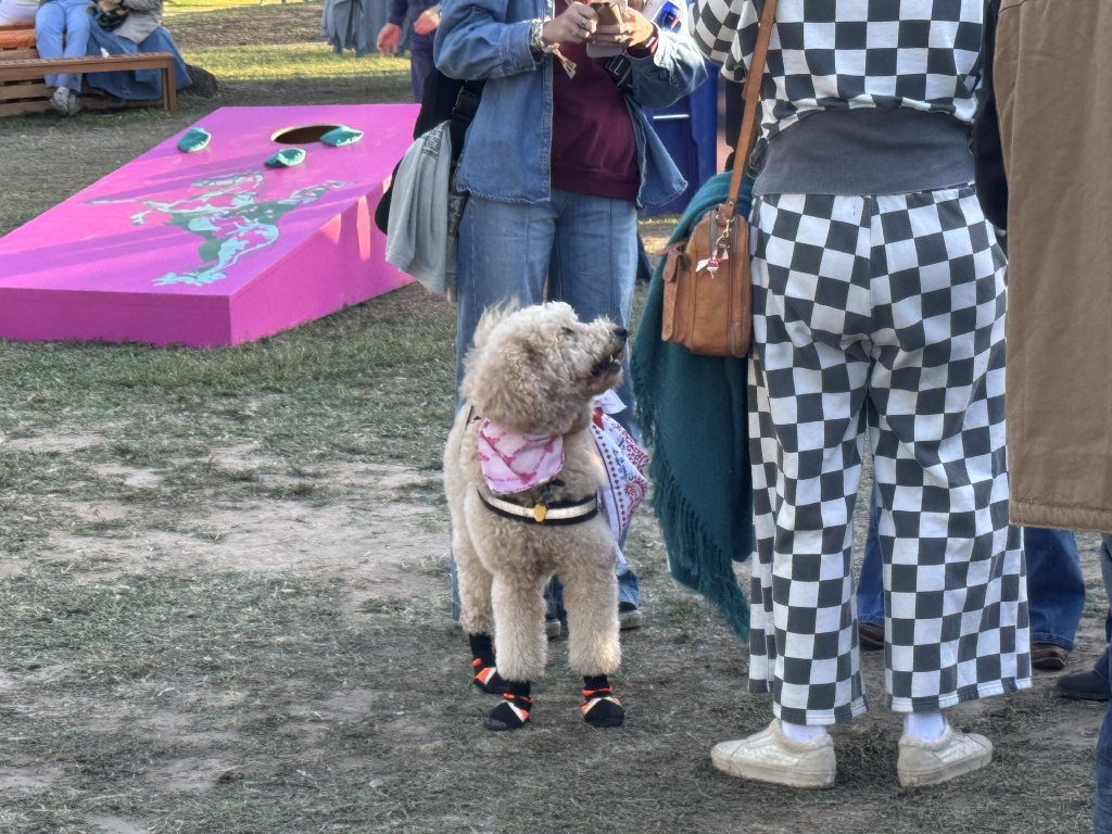 2025-04-06-Two-StepInn-6-poodle-boots.JPG