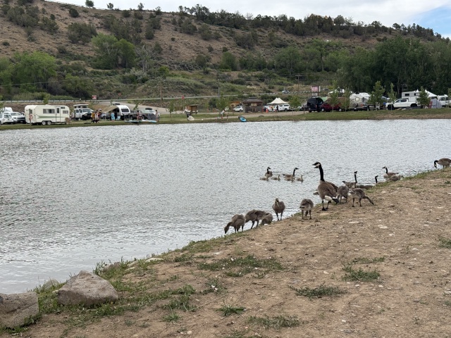 2025/05(May)/Ouray-Camping-Colorado/640x480_2025-05-24-Colorado-21-BigBs-Orchard.JPG
