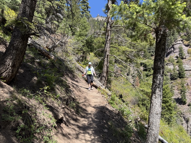 2025/05(May)/Ouray-Camping-Colorado/640x480_2025-05-25-Colorado-61-Ouray-Box-Canon-Suzi.JPG