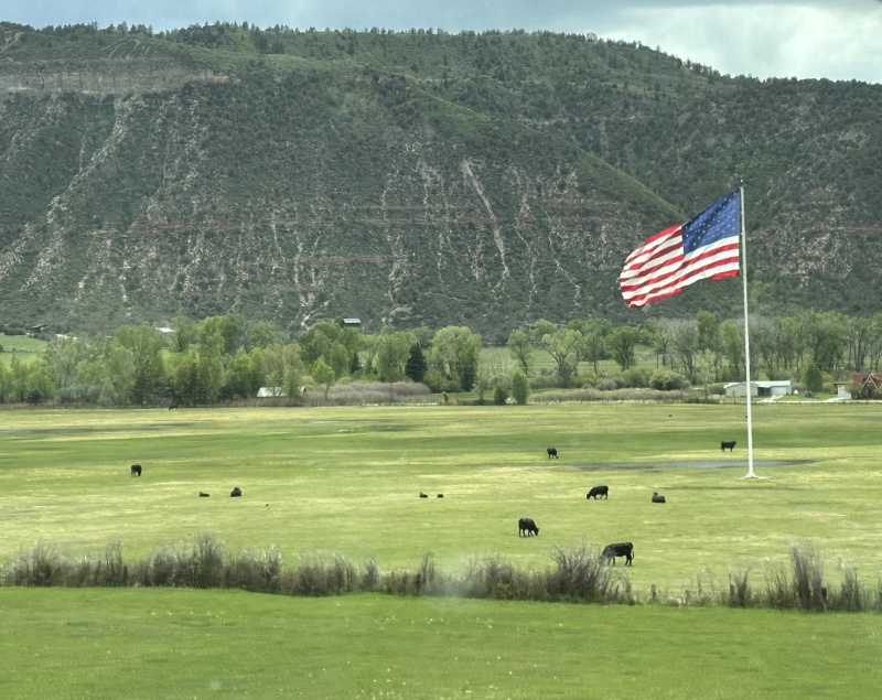 2025/05(May)/Ouray-Camping-Colorado/800x600_2025-05-25-Colorado-79-Flag-Cows.JPG